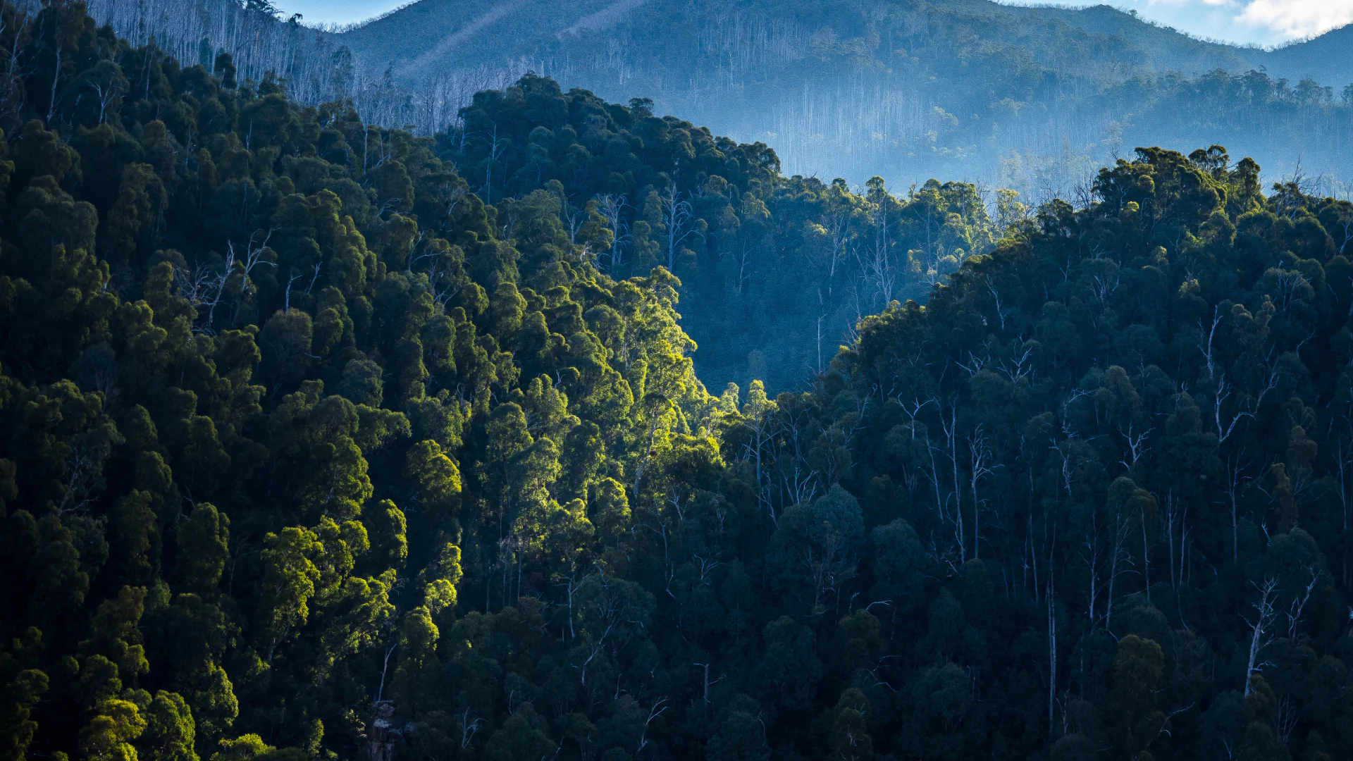 Investor clients of Menroc Asset Management